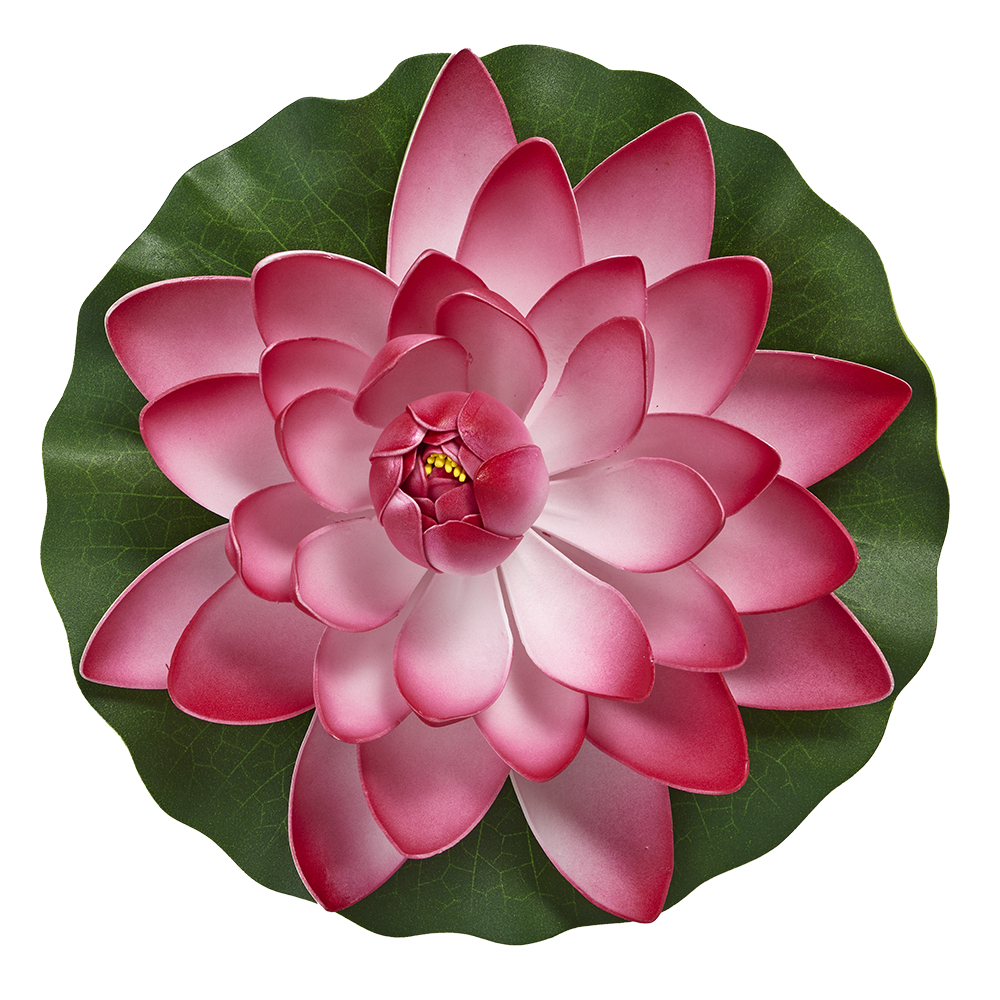 Velda Floating Fuchsia Lotus Flower