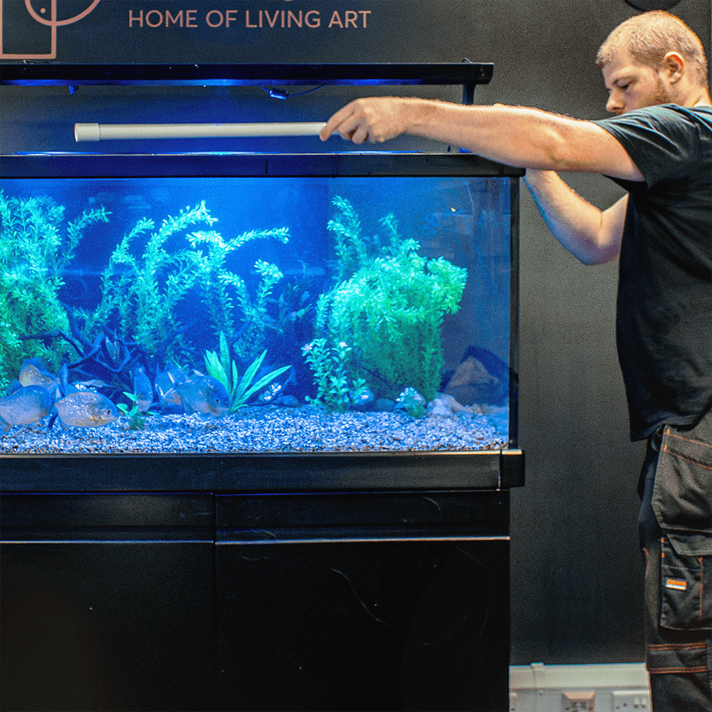 Tropical & Coldwater Aquarium Installation (241-400L)
