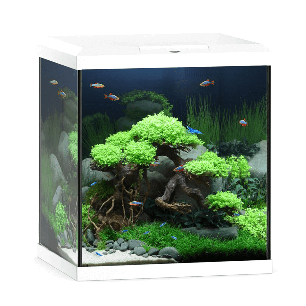 Juwel Vio Cube 54 41cm White Aquarium - 54L