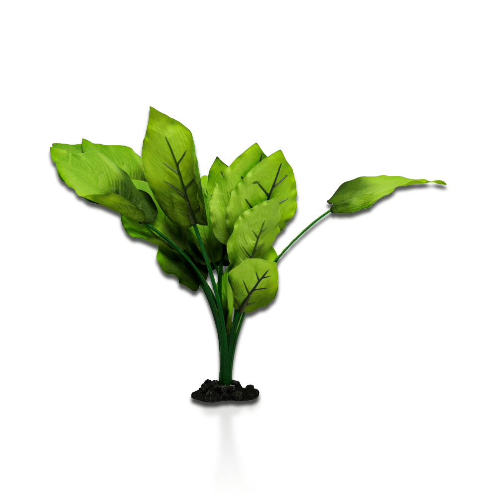 Aqua One Sword Radicans Silk Plant