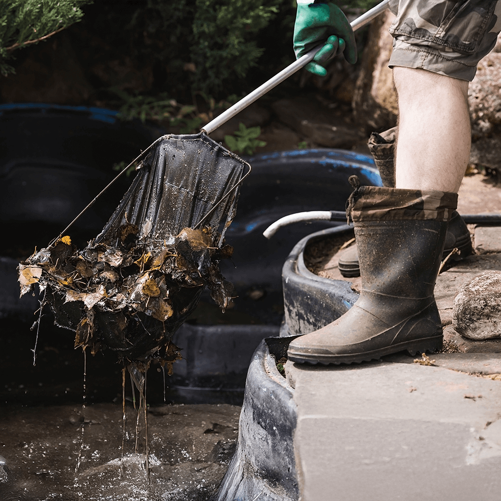 Pond Maintenance
