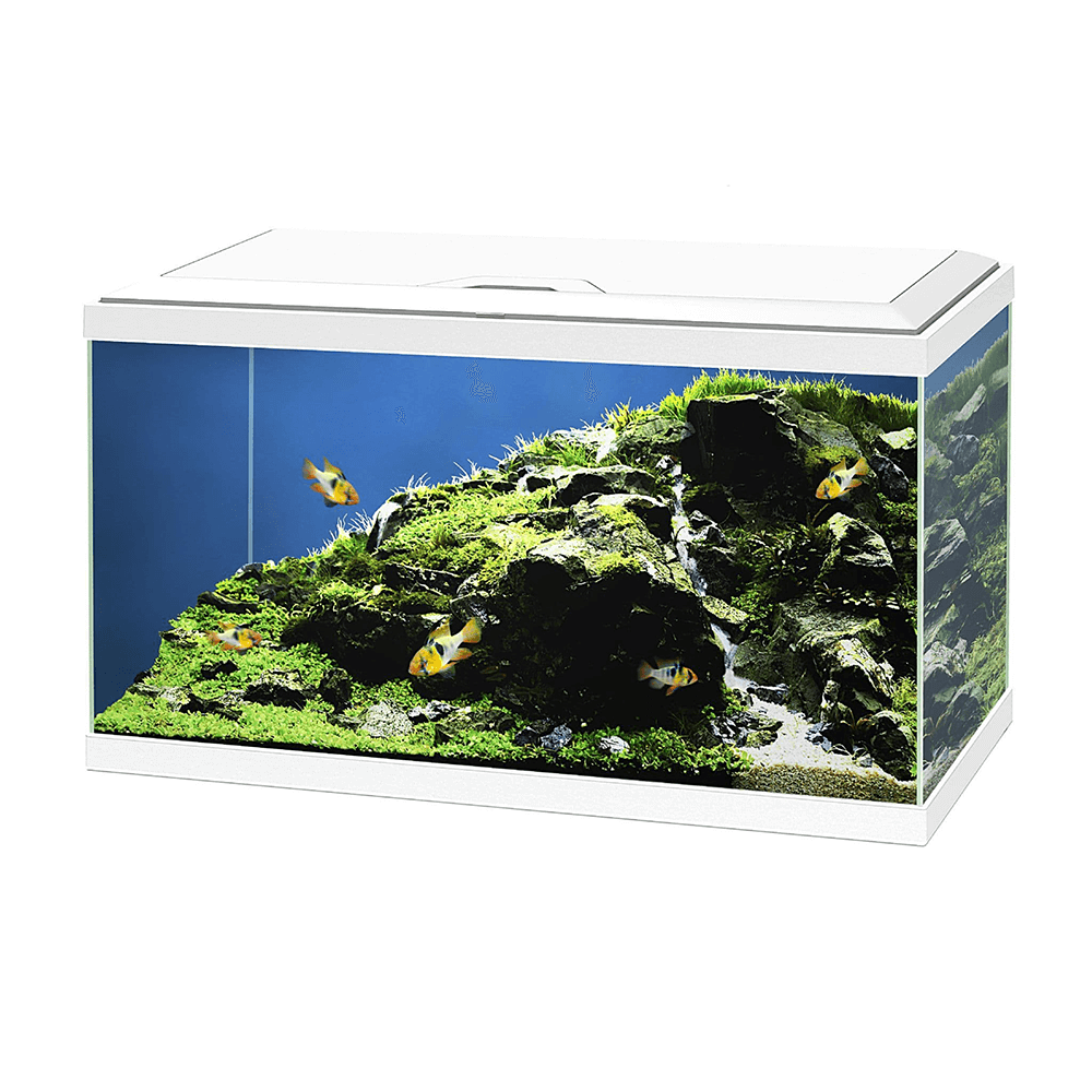 Ciano 60 Plus 65L Aquarium - 60cm