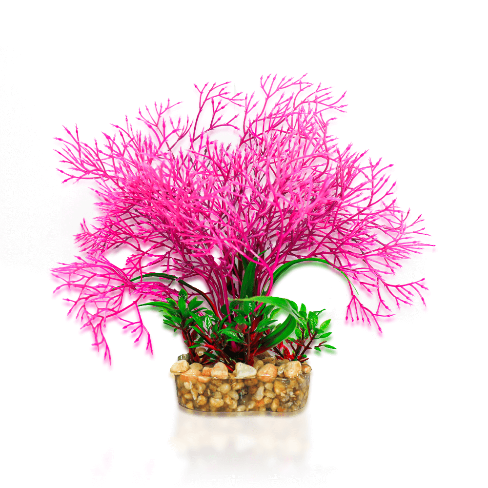 Aqua One Vibrance - Pink Elatine