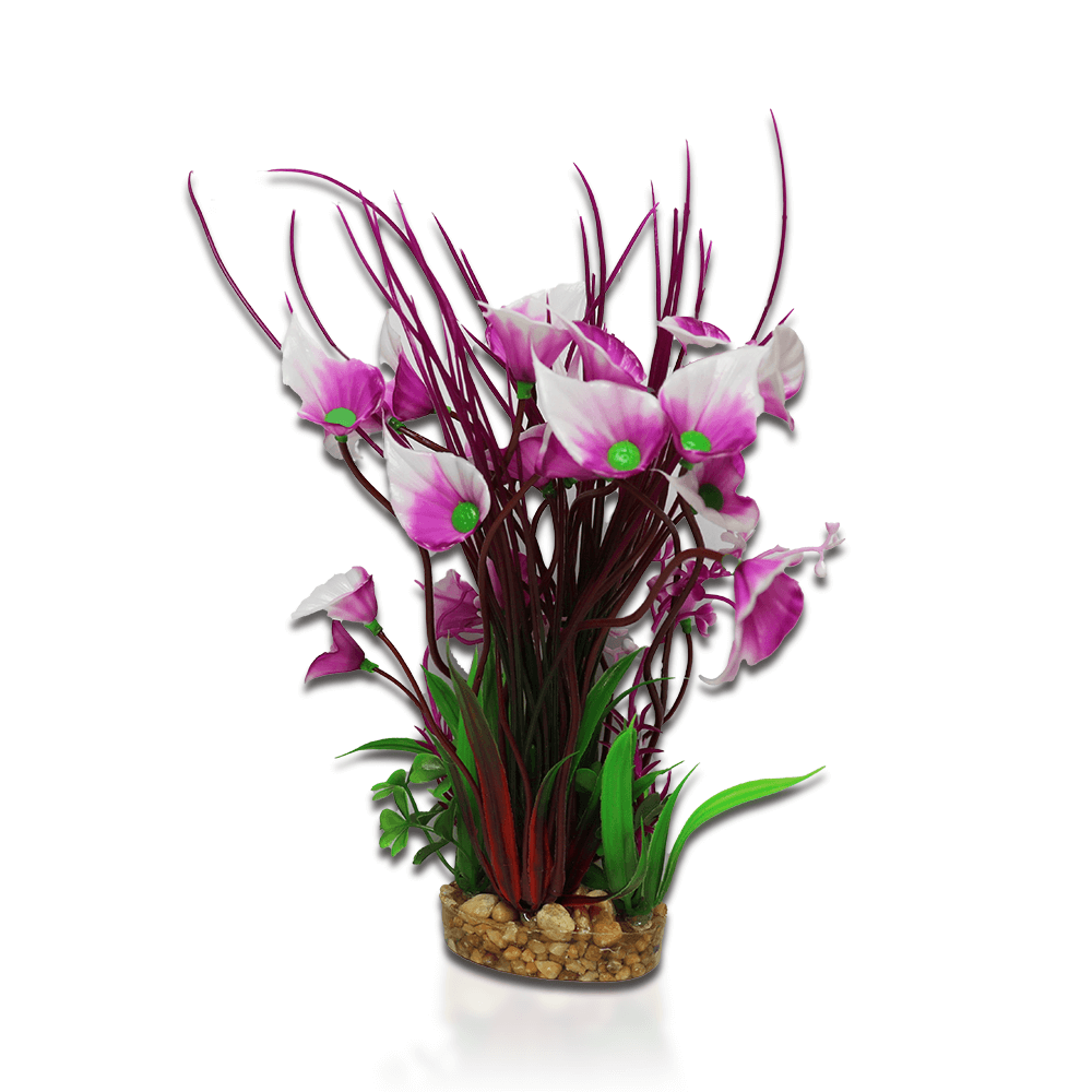 Aqua One Vibrance - Purple Villarsia/Hygrophila
