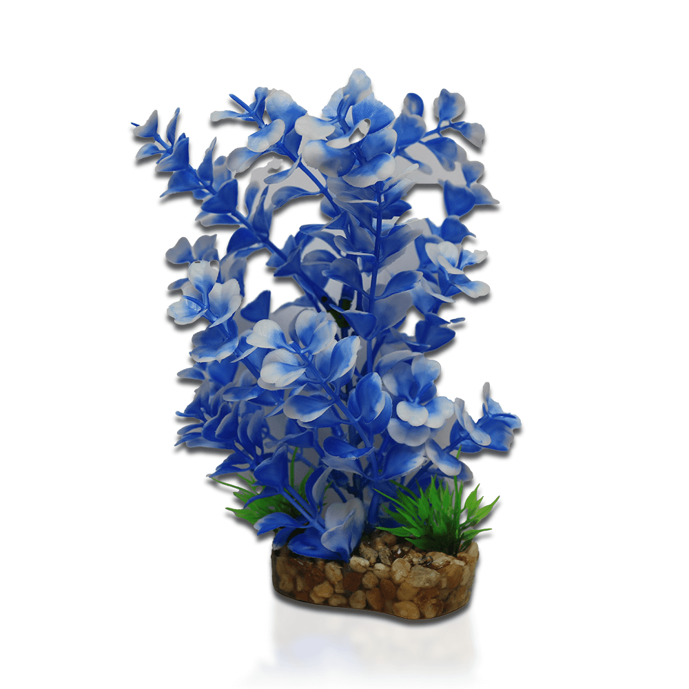 Aqua One Vibrance - Blue Ludwigia