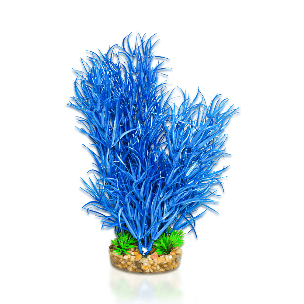 Aqua One Vibrance - Blue Rotala