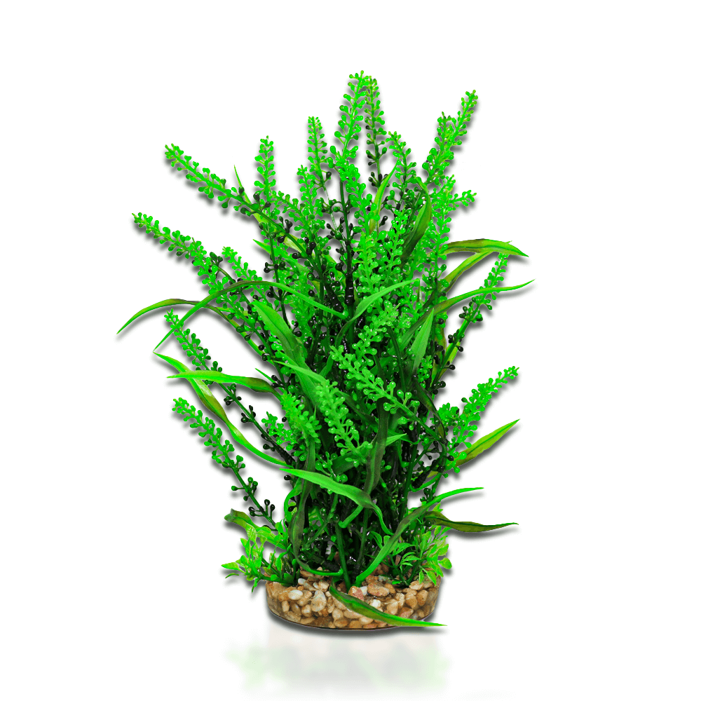 Aqua One Vibrance - Fontinalis