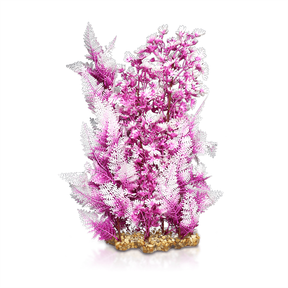Aqua One Vibrance - Pink Elatine Hygrophila
