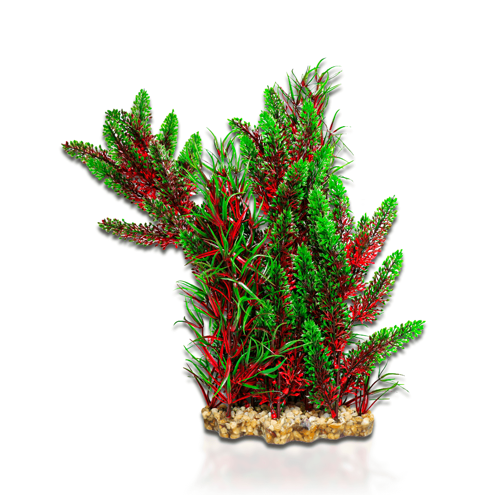 Aqua One Vibrance - Red Pontederia/Typha