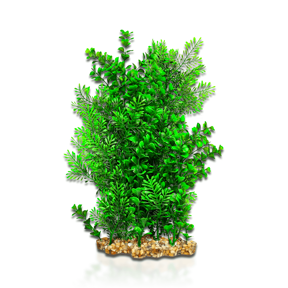 Aqua One Vibrance - Wisteria/Bacopa
