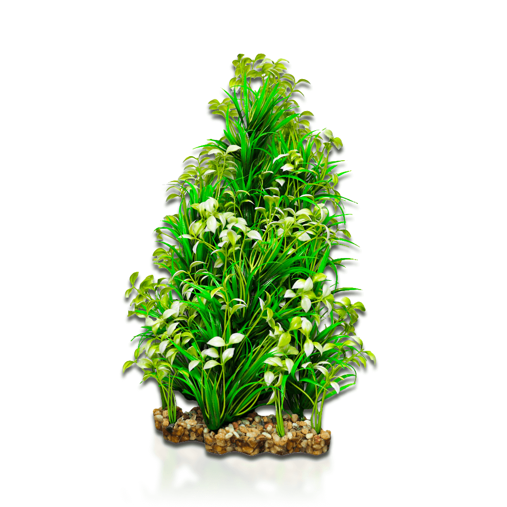 Aqua One Vibrance - Narrow Ludwigia