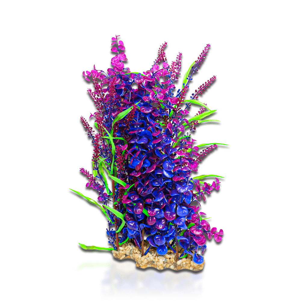 Aqua One Vibrance Blue Bacopa Equisetum