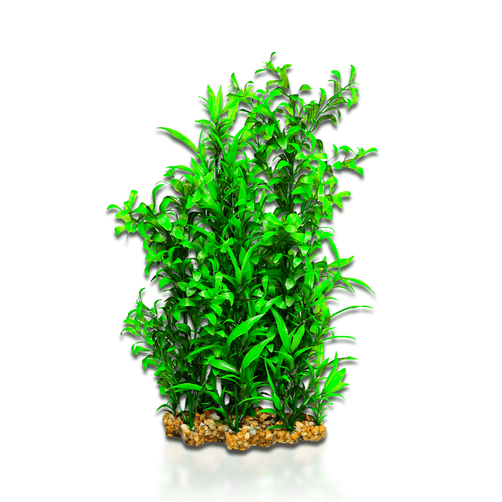 Aqua One Vibrance - Hygrophila/Ludwigia