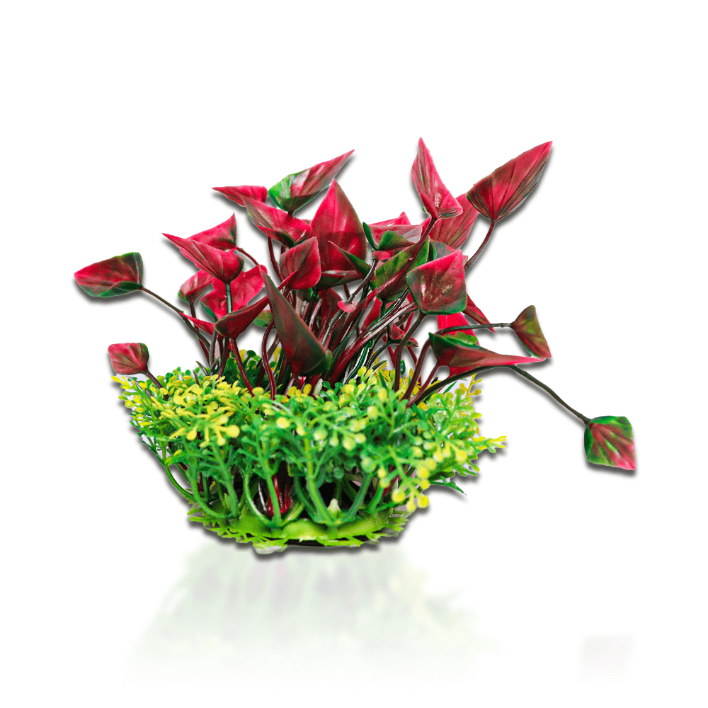 Aqua One Ecoscape Lily Fountain