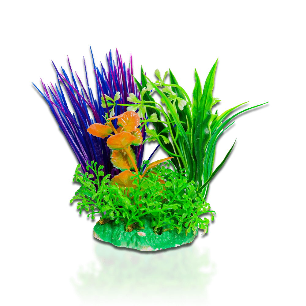 Aqua One Ecoscape Blyxa Fountain
