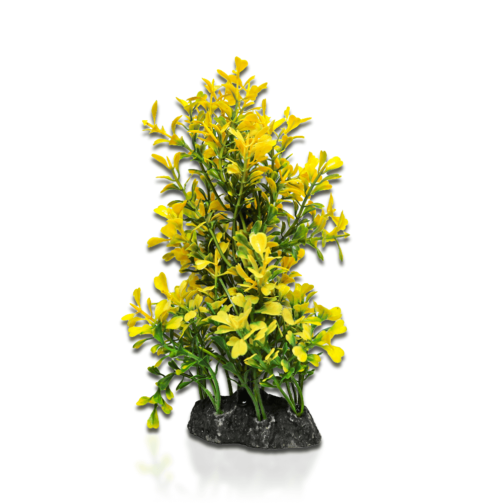 Aqua One Ecoscape Japanese Box Fountain
