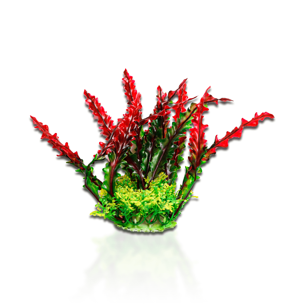 Aqua One Ecoscape Ruffled Lace Fountain