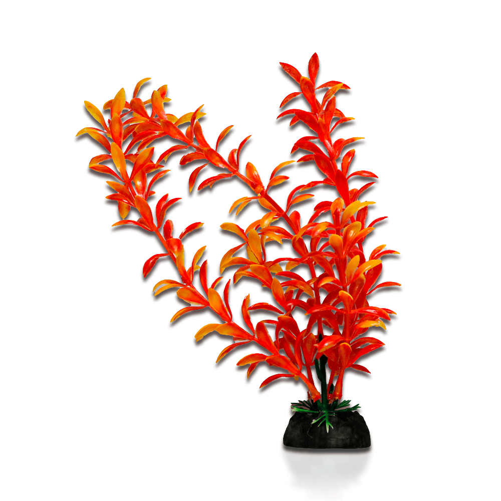 Aqua One Ecoscape Bright - Ludwigia