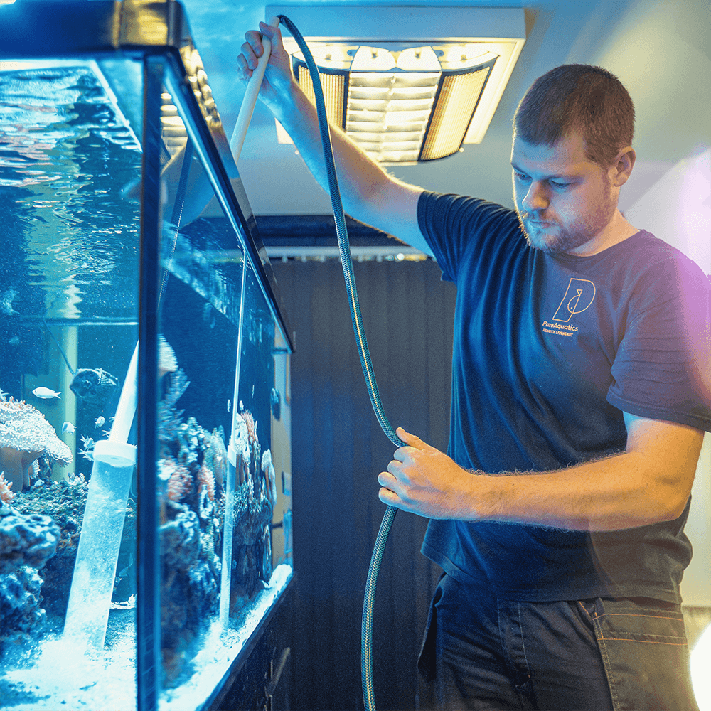 Marine Aquarium Maintenance One-Time Service