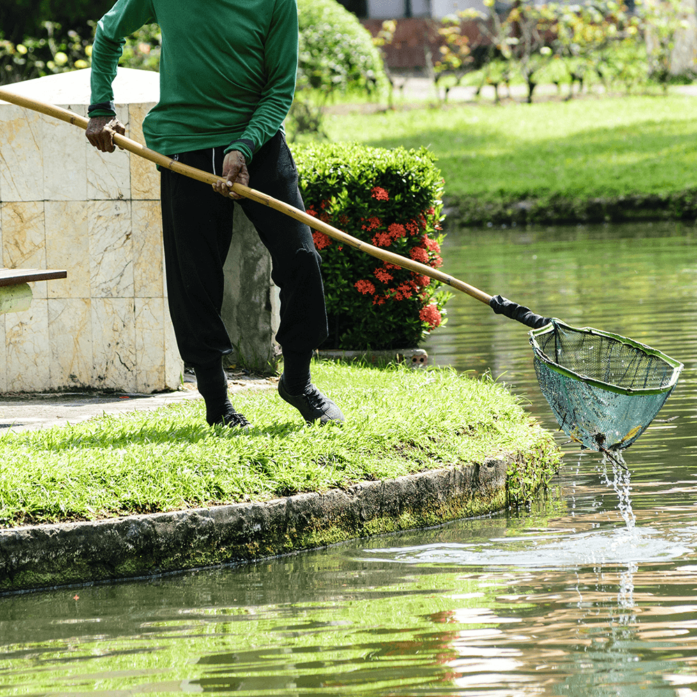 Pond Maintenance One-Time Service