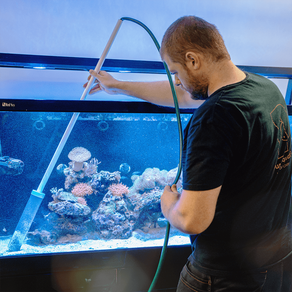 Marine Aquarium Maintenance