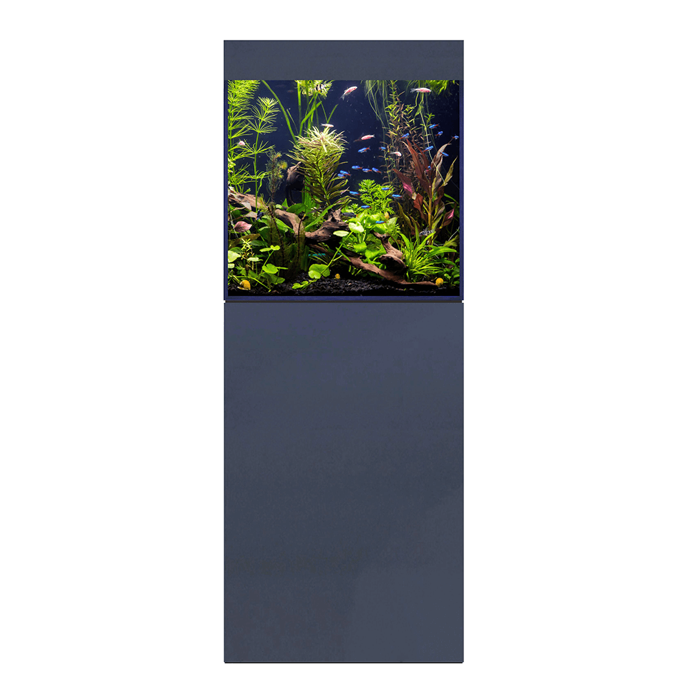 D&D Aqua-Pro Freshwater 600 60cm Cube Aquarium & Super-Matt Anthracite Cabinet -188L
