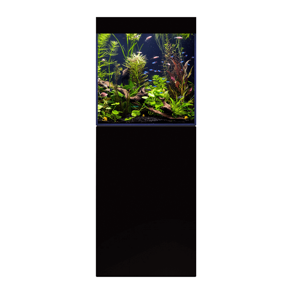 D&D Aqua-Pro Freshwater 600 60cm Cube Aquarium & Ultra-Gloss Black Cabinet -188L