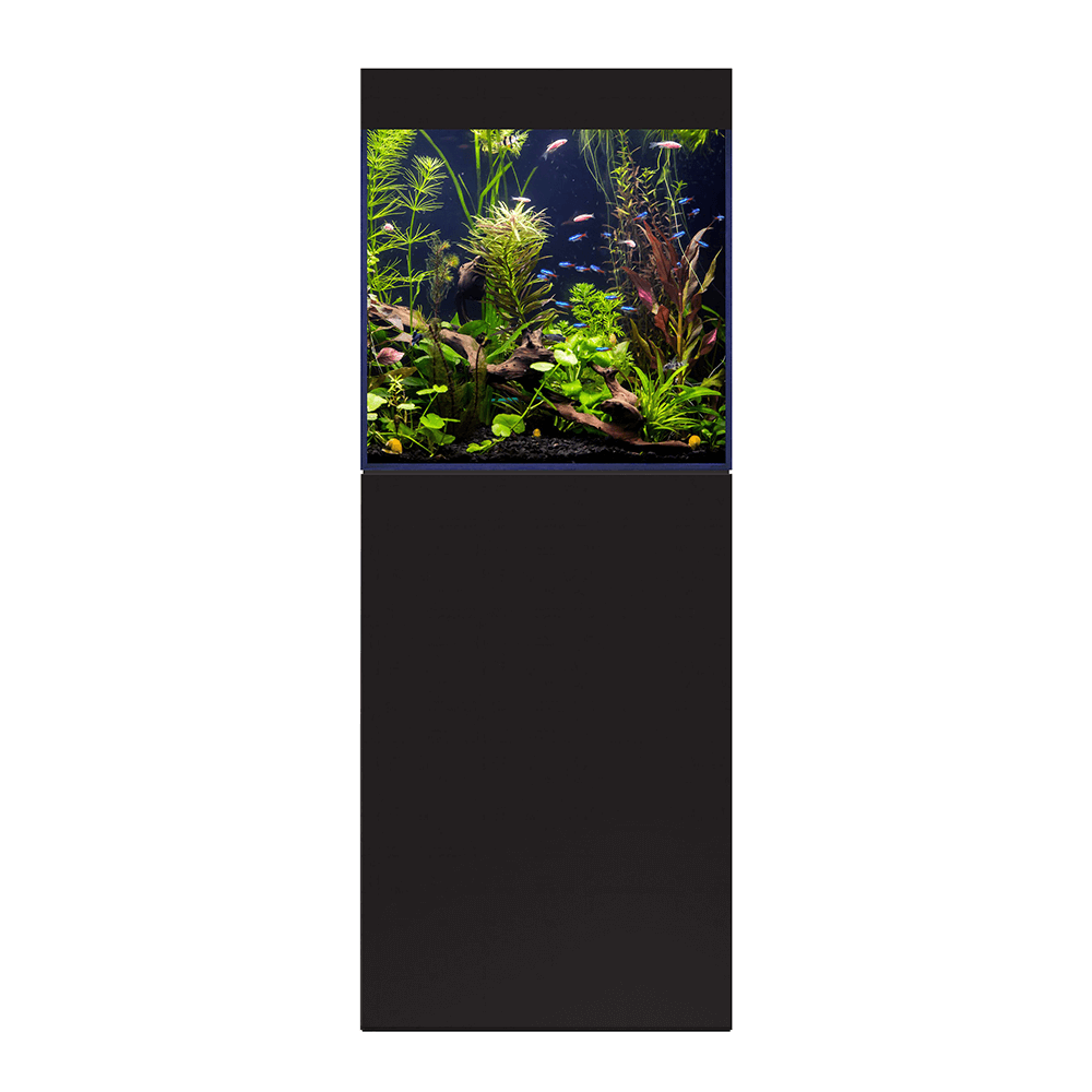 D&D Aqua-Pro Freshwater 600 60cm Cube Aquarium & Black Satin Cabinet -188L