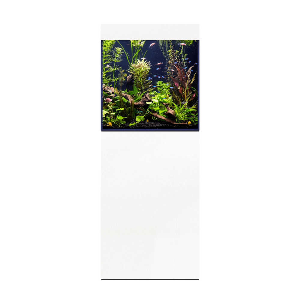 D&D Aqua-Pro Freshwater 600 60cm Cube Aquarium & Ultra-Gloss White Cabinet -188L