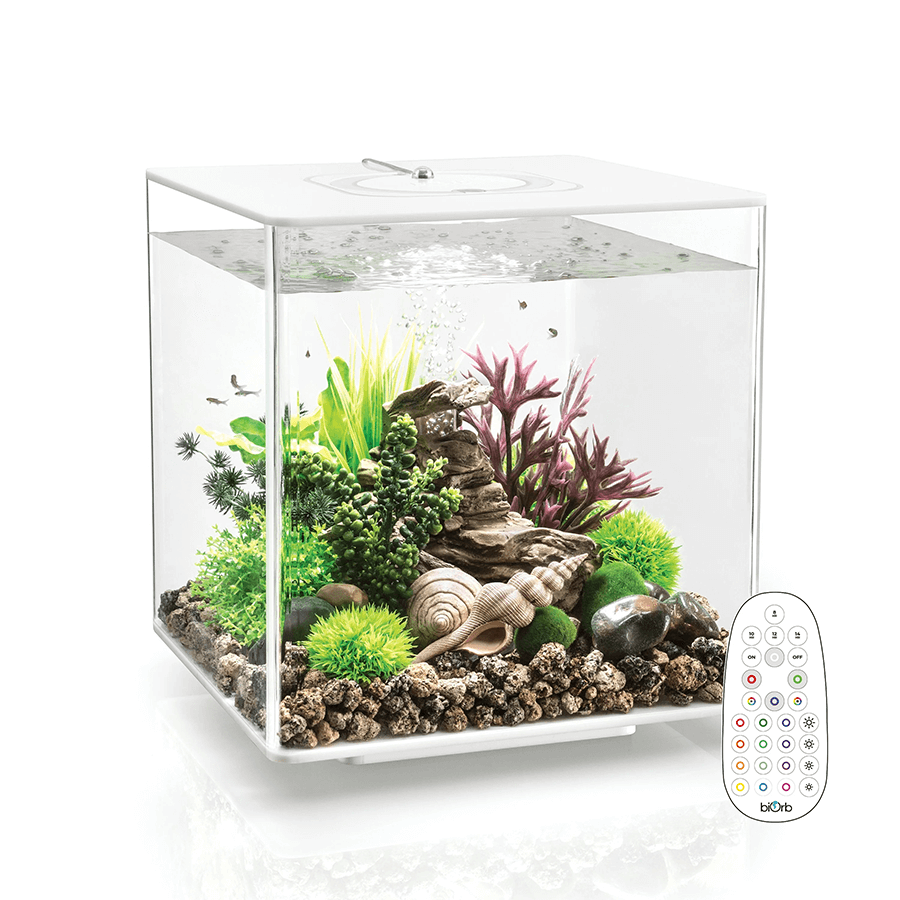 BiOrb Cube 30 MCR LED