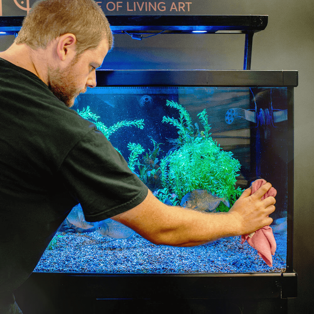 Tropical & Coldwater Aquarium Maintenance