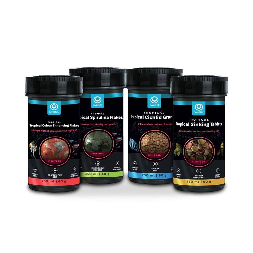 Swell African Cichlid Starter Bundle