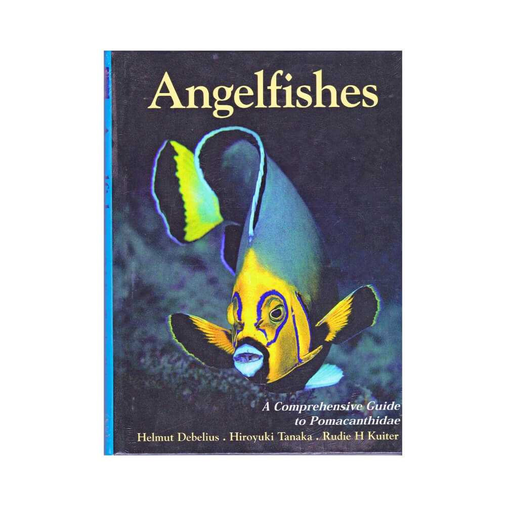 TMC Angelfishes: A Comprehensive Guide to Pomacanthidae