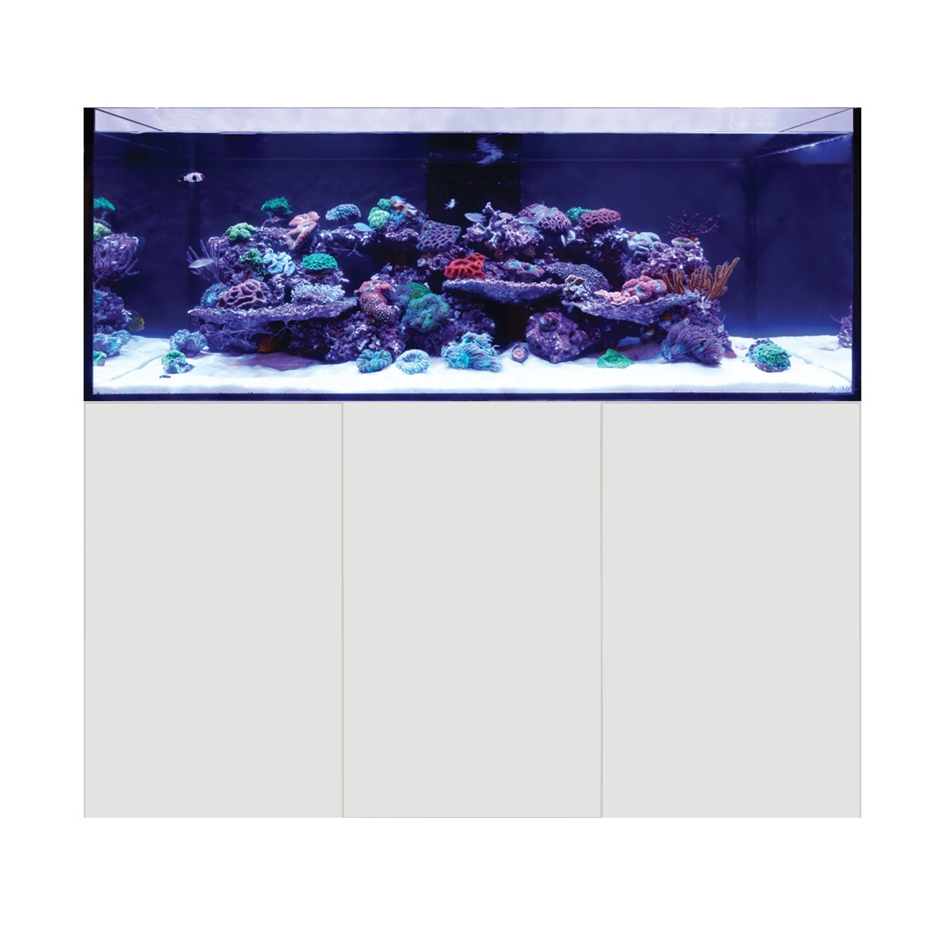 D&D Aqua-Pro Reef 1500 150cm Aquarium & Ultra-Gloss White Cabinet - 485L