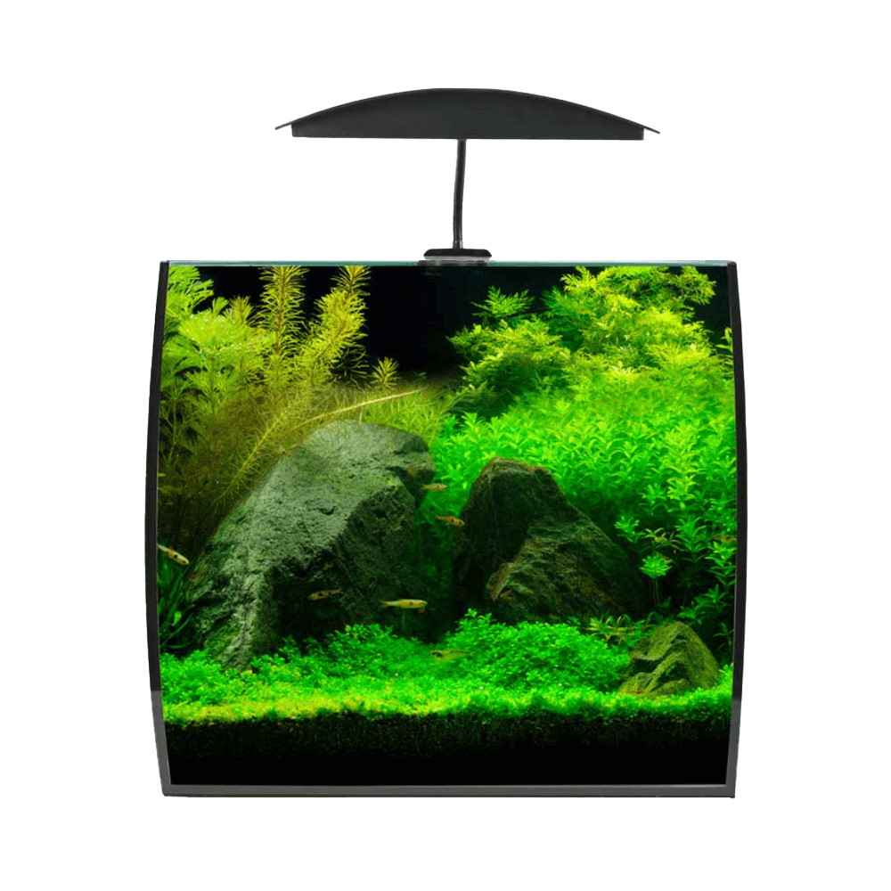 Aqua One Arc 46 34.5cm Aquarium - 46L