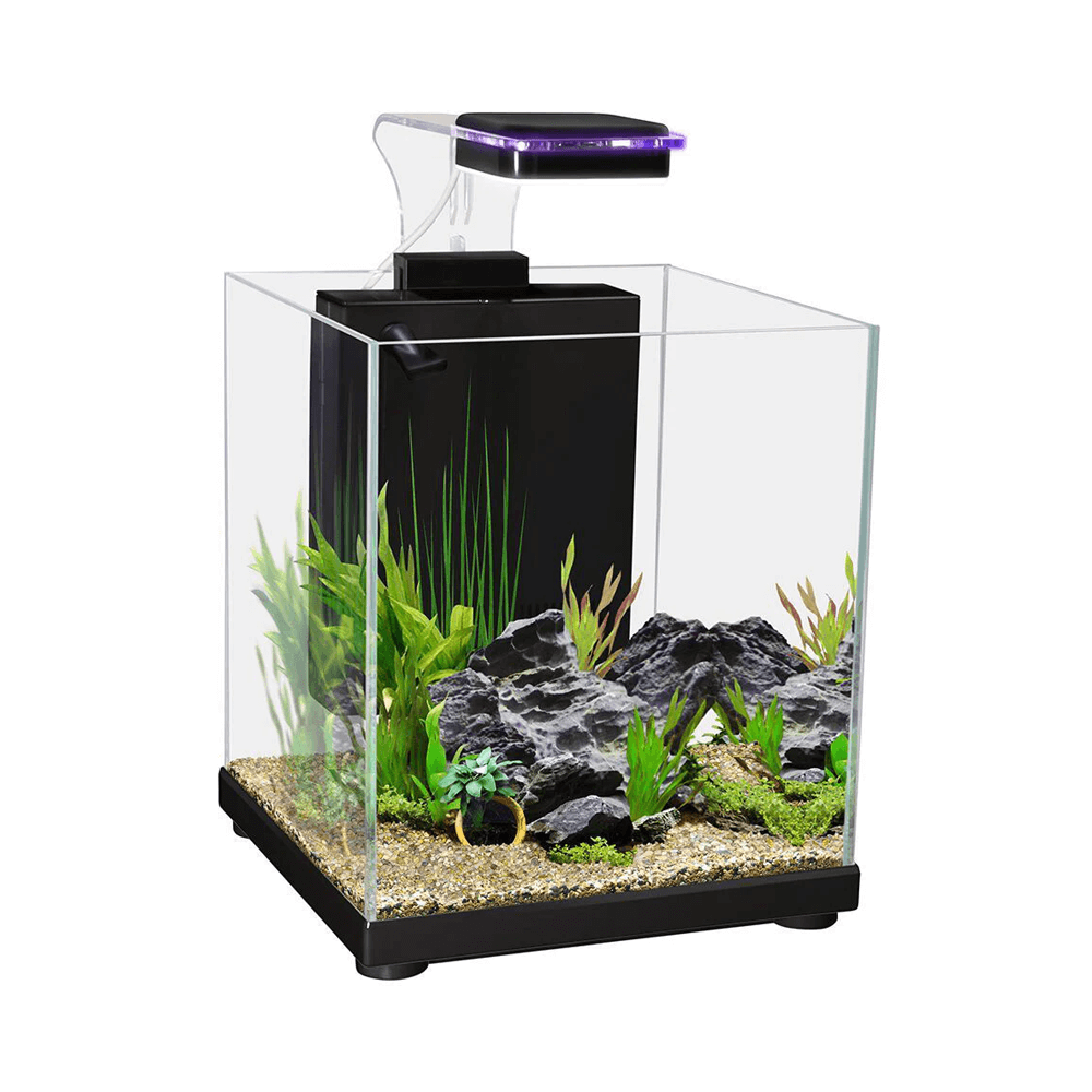 Aqua One Betta Sanctuary 10L Aquarium - 22.4cm