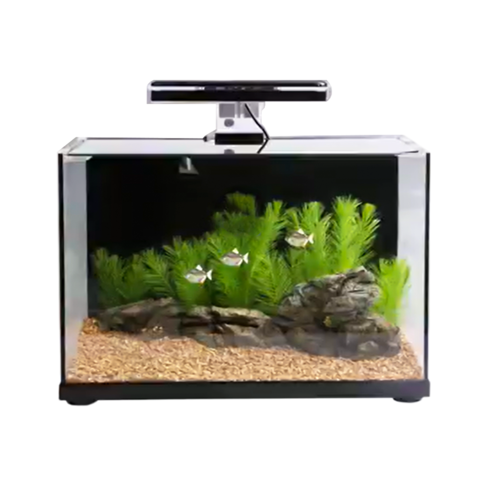 Aqua One Focus 36 50cm Aquarium - 36L