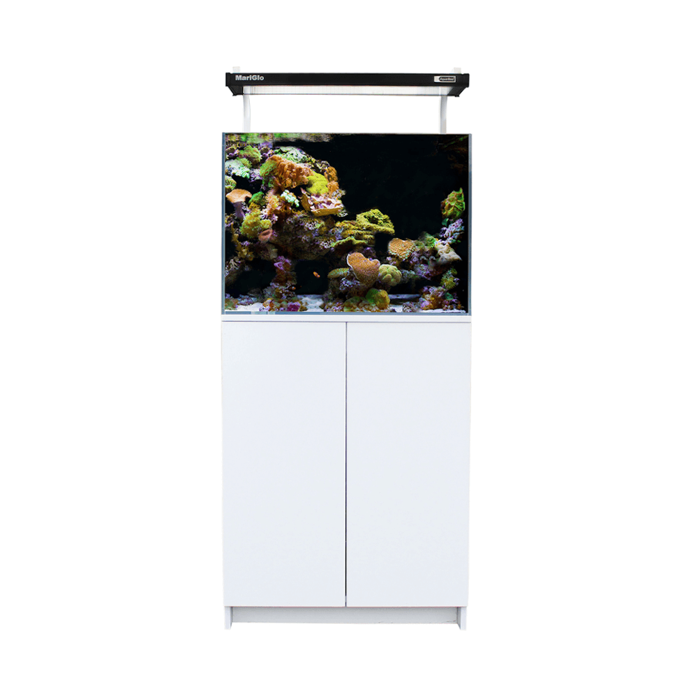 Aqua One MiniReef 120 60cm Aquarium - 120L