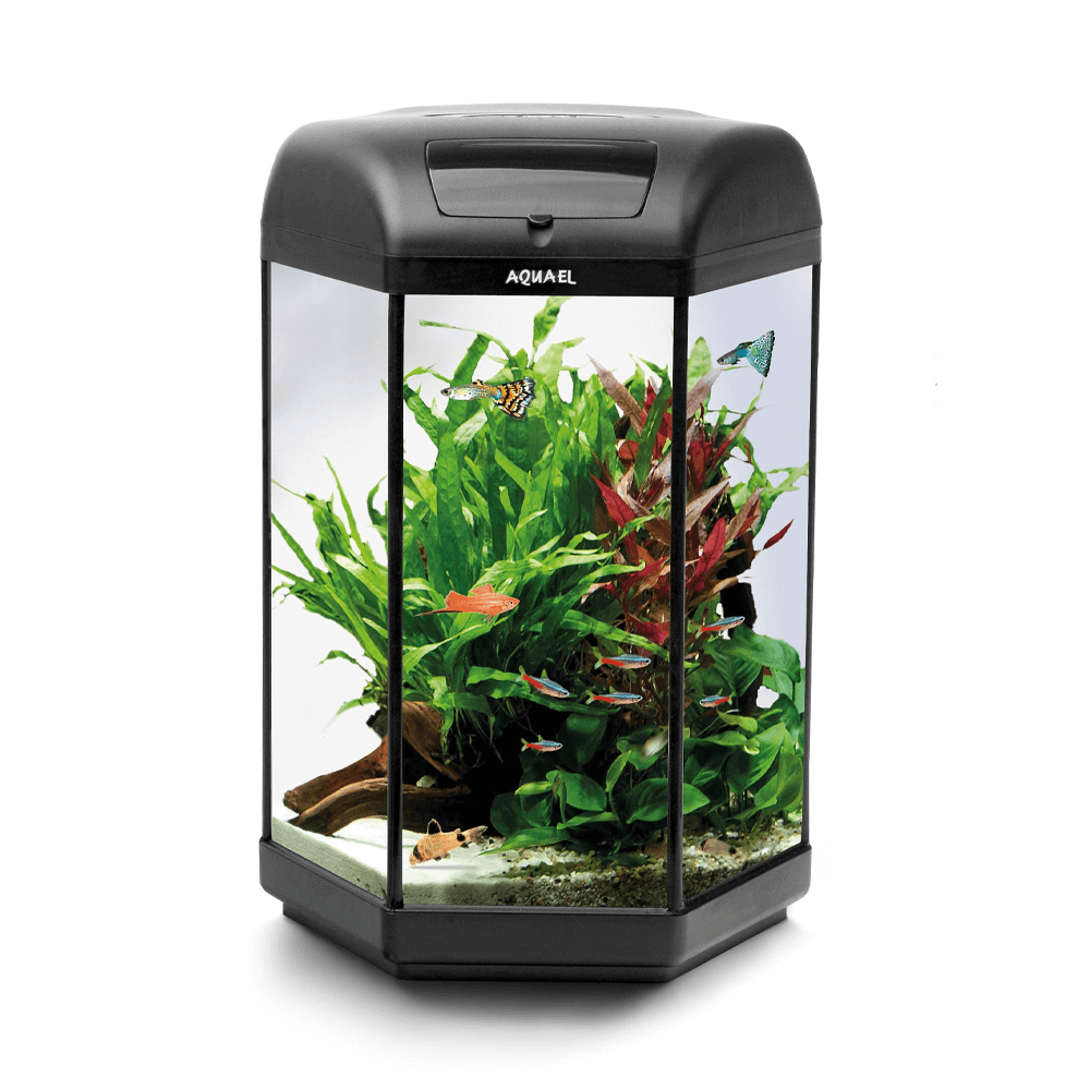 AquaEl Hexa Set 60L Aquarium - 41cm