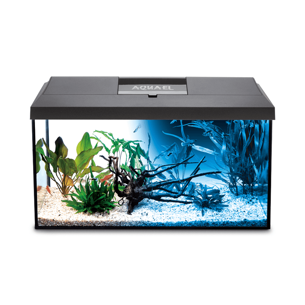 AquaEl Leddy 60 54L Aquarium Day & Night - 60cm