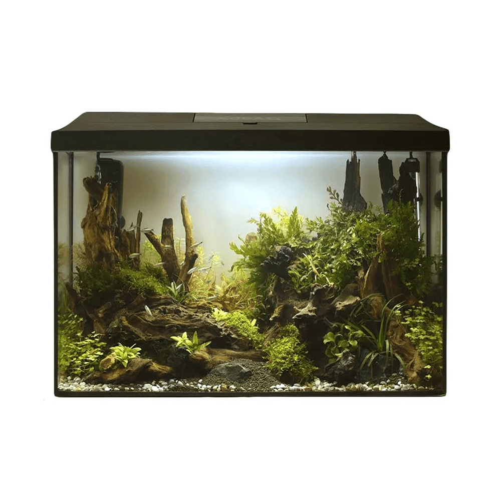 AquaEl Leddy XL 60 72L Aquarium Day & Night - 60cm