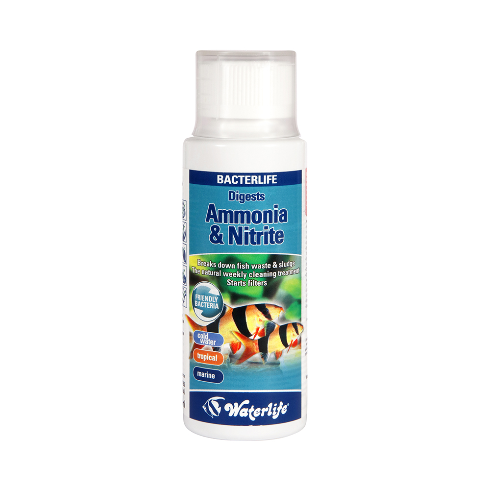 Waterlife Bacterlife