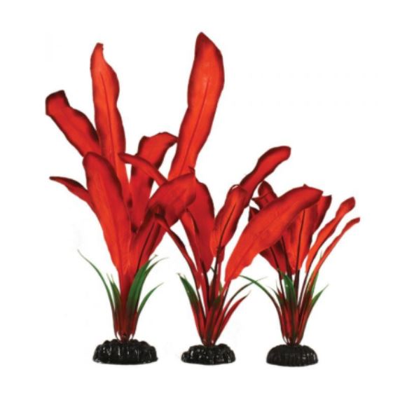 Hugo Kamishi Bleheri Red