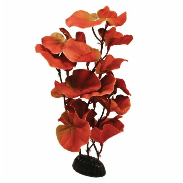 Hugo Kamishi Cardamine Red