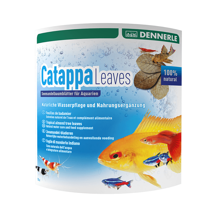 Dennerle Catappa Leaves