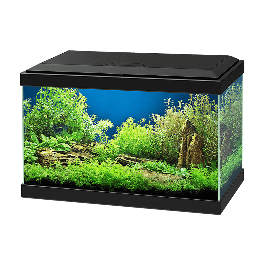 Ciano Aqua 20 40cm Aquarium With LED Light - 17L