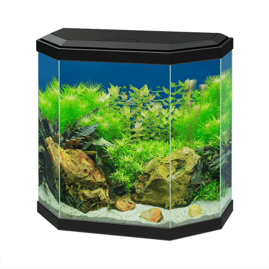 Ciano Aqua 30 40cm Aquarium With LED Light - 25L