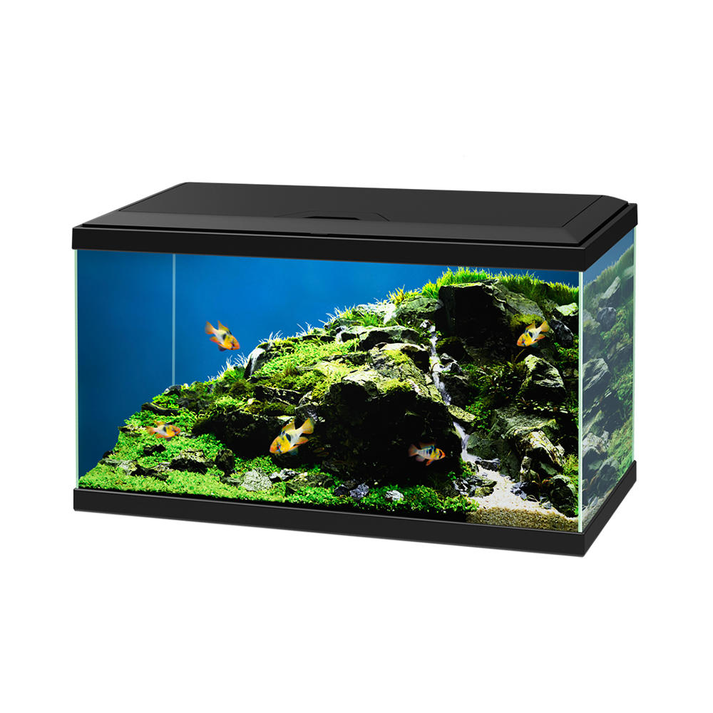 Ciano 60 52L Aquarium - 60cm