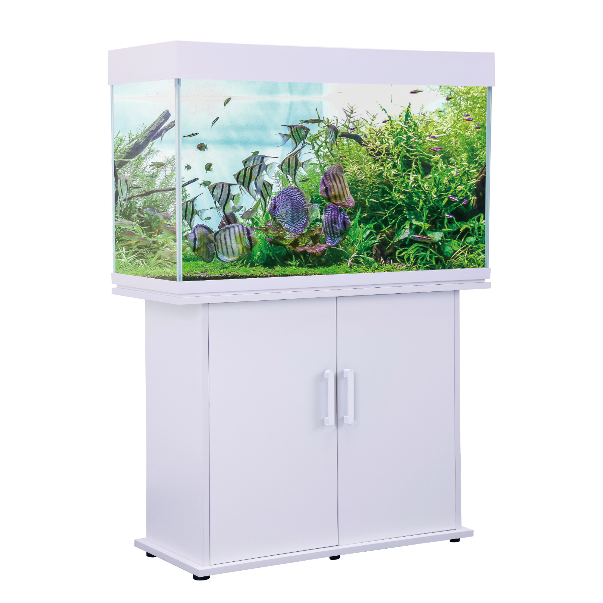 Swell Congo 100cm Aquarium 200L