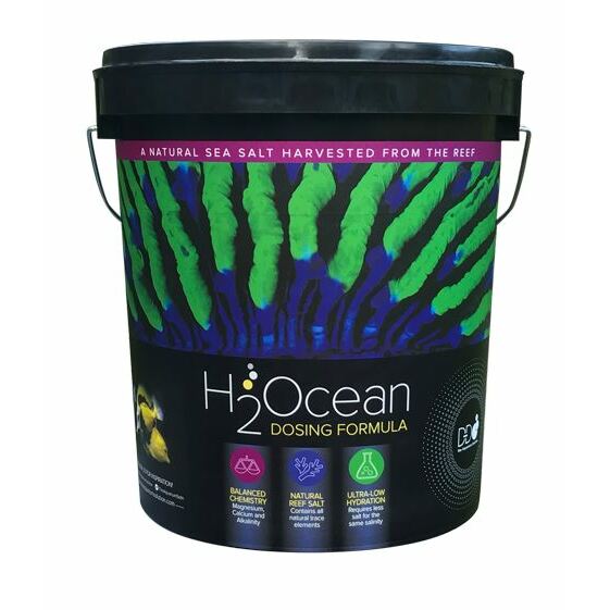 D&D H2Ocean Dosing Formula Marine Salt